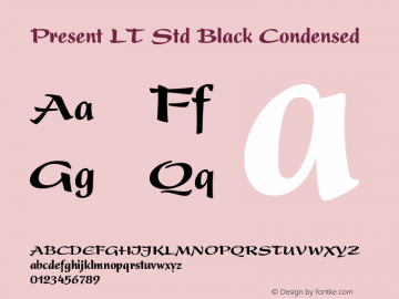 PresentLTStd-BlackCondensed Version 2.020;PS 002.000;hotconv 1.0.50;makeotf.lib2.0.16970图片样张