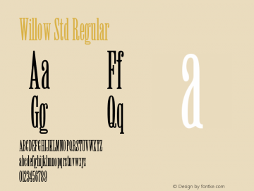 WillowStd Version 2.031;PS 002.000;hotconv 1.0.50;makeotf.lib2.0.16970图片样张