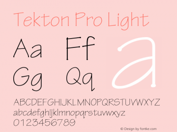 TektonPro-Light Version 2.020;PS 2.000;hotconv 1.0.51;makeotf.lib2.0.18671图片样张