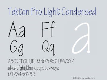 TektonPro-LightCond Version 2.020;PS 2.000;hotconv 1.0.51;makeotf.lib2.0.18671图片样张