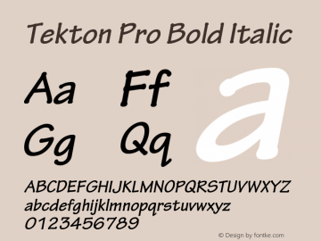 TektonPro-BoldObl Version 2.020;PS 2.000;hotconv 1.0.51;makeotf.lib2.0.18671图片样张