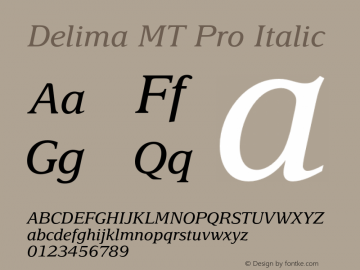 DelimaMTPro-Italic Version 1.000 Build 1000图片样张