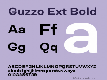Guzzo Ext Bold Version 1.00图片样张