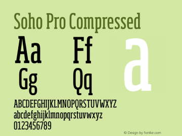 SohoPro-Compressed Version 1.100图片样张