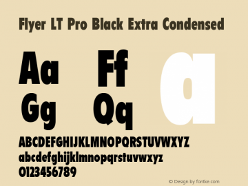 Flyer LT Pro Black Extra Condensed Version 1.00 Build 1000图片样张