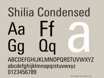 Shilia Condensed Version 3.00图片样张