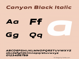 Canyon Black Italic Version 1.001;FEAKit 1.0图片样张