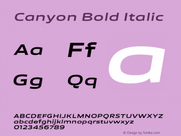 Canyon Bold Italic Version 1.001;FEAKit 1.0图片样张