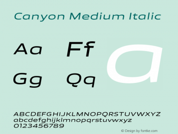 Canyon Medium Italic Version 1.001;FEAKit 1.0图片样张