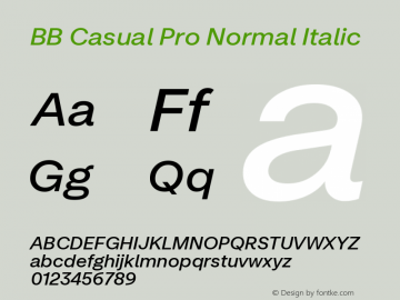 BB Casual Pro Normal Italic Version 2.000 | web-ttf图片样张