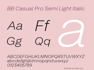 BB Casual Pro Semi Light Italic Version 2.000 | web-ttf图片样张