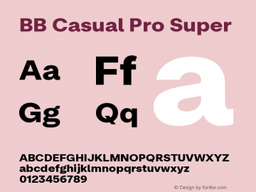 BB Casual Pro Super Version 2.000 | web-ttf图片样张