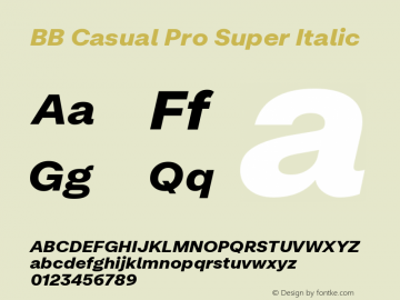 BB Casual Pro Super Italic Version 2.000 | web-ttf图片样张