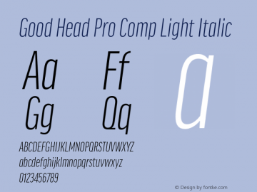 Good Head Pro Comp Light It Version 7.60图片样张