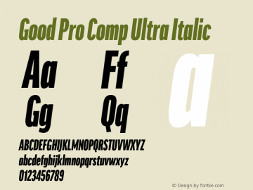 Good Pro Comp Ultra Italic Version 7.60图片样张