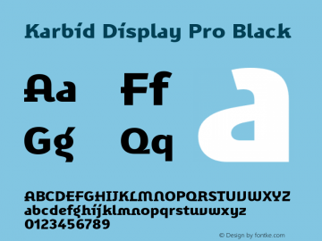 Karbid Display Pro Black Version 7.60图片样张