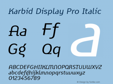 Karbid Display Pro Italic Version 7.60图片样张