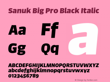 Sanuk Big Pro Black Italic Version 7.504; 2016; Build 1024图片样张