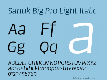 Sanuk Big Pro Light Italic Version 7.504; 2016; Build 1024图片样张