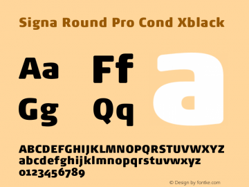 Signa Round Pro Cond Xblack Version 7.504; 2017; Build 1028图片样张