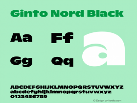 Ginto Nord Black Version 1.000 | w-rip DC20180815图片样张