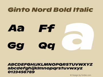 Ginto Nord Bold Italic Version 1.000 | w-rip DC20180815图片样张