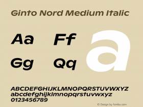 Ginto Nord Medium Italic Version 1.000 | w-rip DC20180815图片样张