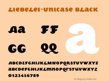 Liebelei-Unicase Black Version 3.000;FEAKit 1.0图片样张