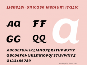 Liebelei-Unicase Medium Italic Version 3.000;FEAKit 1.0图片样张