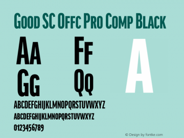 Good SC Offc Pro Comp Black Version 7.504; 2014; Build 1020图片样张