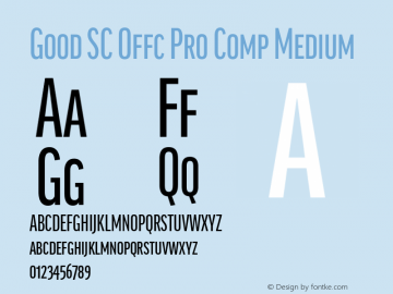 Good SC Offc Pro Comp Medium Version 7.504; 2014; Build 1020图片样张
