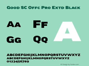 Good SC Offc Pro Extd Black Version 7.504; 2014; Build 1020图片样张