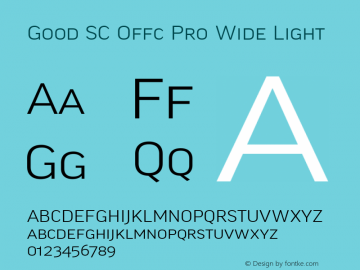 Good SC Offc Pro Wide Light Version 7.504; 2010; Build 1021图片样张