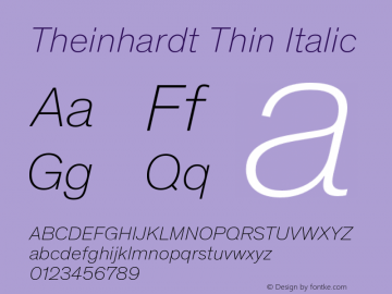 Theinhardt-ThinItalic Version 4.002; build 0013图片样张