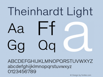 Theinhardt-Light Version 4.002; build 0013图片样张