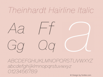 Theinhardt-HairlineItalic Version 4.002; build 0013图片样张