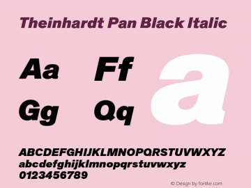 TheinhardtPan-BlackItalic Version 4.002; build 0018图片样张