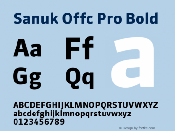 Sanuk Offc Pro Bold Version 7.504; 2010; Build 1022图片样张