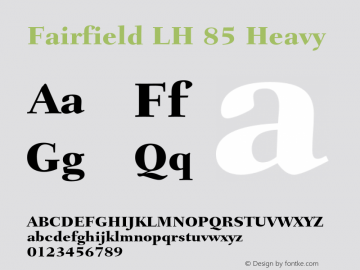 FairfieldLH-Heavy 001.002图片样张