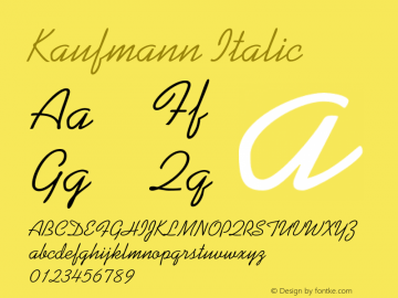 Kaufmann-Italic3 001.002图片样张