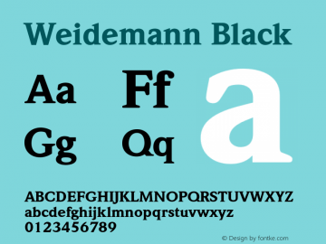 Weidemann-Black 001.002图片样张