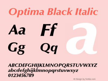 Optima-BlackItalic 001.000图片样张