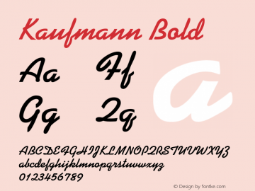 Kaufmann-Bold 001.002图片样张