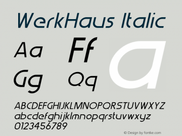 WerkHaus-Italic 1.000图片样张