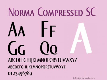 Norma-CompressedSC Version 2.00, build 3, s3图片样张