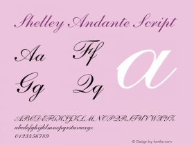 Shelley-AndanteScript 001.002图片样张