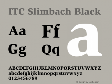 Slimbach-Black 001.000图片样张