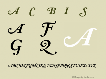 ACaslon-SwashBoldItalic 001.002图片样张