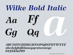 Wilke 76 Bold Italic 001.000图片样张