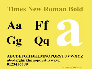 Times New Roman Bold 001.003图片样张